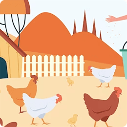 barnyard
